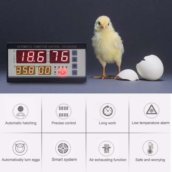 Controlador de incubadora de ovos xm 18 de alta qualidade da haswill electronics para venda 3 recursos